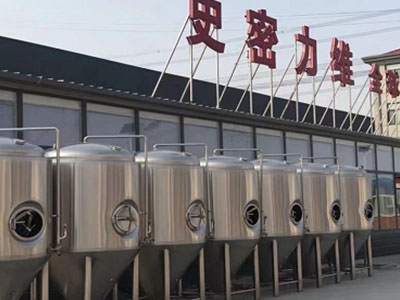 萍乡精酿啤酒设备厂—市场规模与跨界新需求